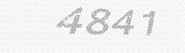 Visual security code — type the characters shown in the image