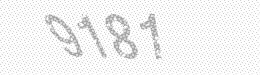 Visual security code — type the characters shown in the image